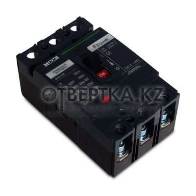 Автоматический выключатель iPower ВА55-100 ВА55-100 3Р 100А