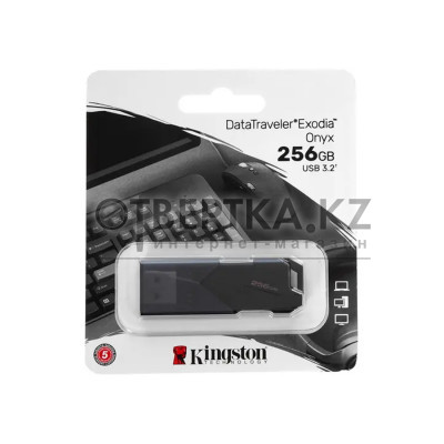 USB-накопитель Kingston DTXON/256GB 256GB