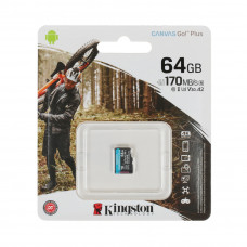Карта памяти Kingston SDCG3/64GBSP A2 U3 V30 64GB без адаптера в Актобе