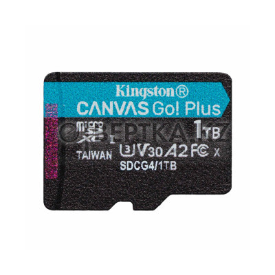 Карта памяти Kingston SDCG4/1TBSP Canvas Go Plus A2 U3 V30 1TB