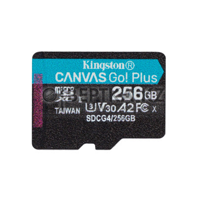 Карта памяти Kingston SDCG4/256GBSP Canvas Go Plus A2 U3 V30 256GB