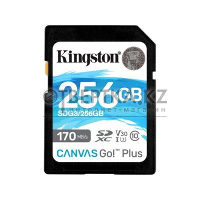Карта памяти Kingston SDG3/256GB