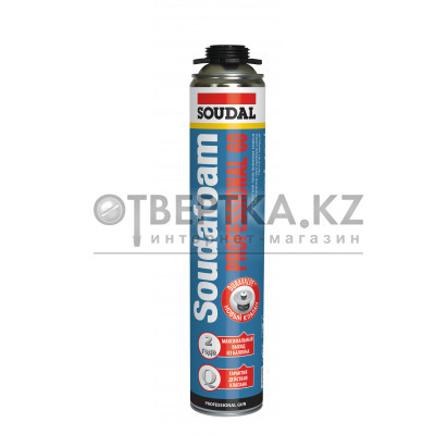 Монтажная пена (60) SOUDAL летняя 12*750 мл 113985