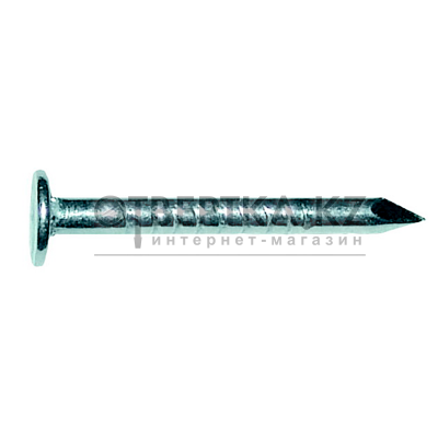 Гвозди толевые 2.5х40 мм ГОСТ 4029-63 (0.2 кг в пласт. конт.) STARFIX SMP1-77498-02