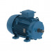 Асинхронный электродвигатель WEG AM W20 -100L 12310536