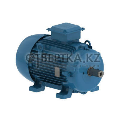 Асинхронный электродвигатель WEG 12312850 AM W20 -112M 4 кВт 4P B3T 380-460 В 50 Гц