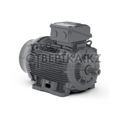 Асинхронный электродвигатель WEG WGOST-132S 17725617