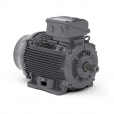 Асинхронный электродвигатель WEG WGOST-90L 17886536
