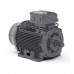 Асинхронный электродвигатель WEG WGOST-90L 17886536