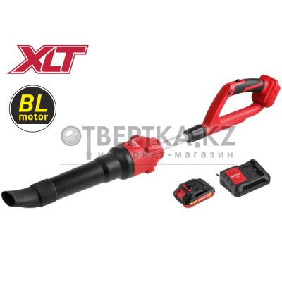 Аккум. воздуходувка WORTEX BB 2018-1 D ALL1 XLT SET с акб и з/у 1334646