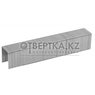 ЗУБР тип 53 (A/10/JT21), 6 мм, 1000 шт, калибр 23GA, скобы для степлера, Профессионал (31620-06) 31620-06_z01