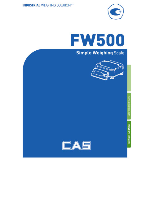 Инструкция для CAS FW500-15E