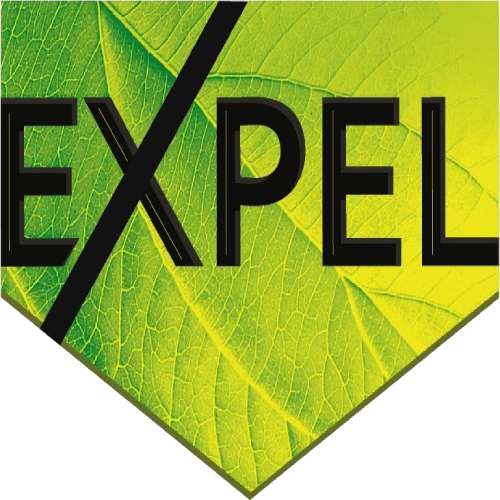 Expel в Алматы