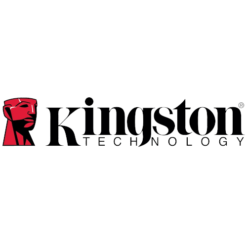 Kingston в Алматы