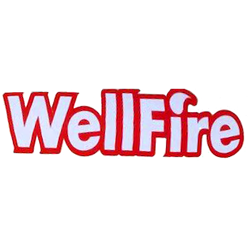 Wellfire в Алматы